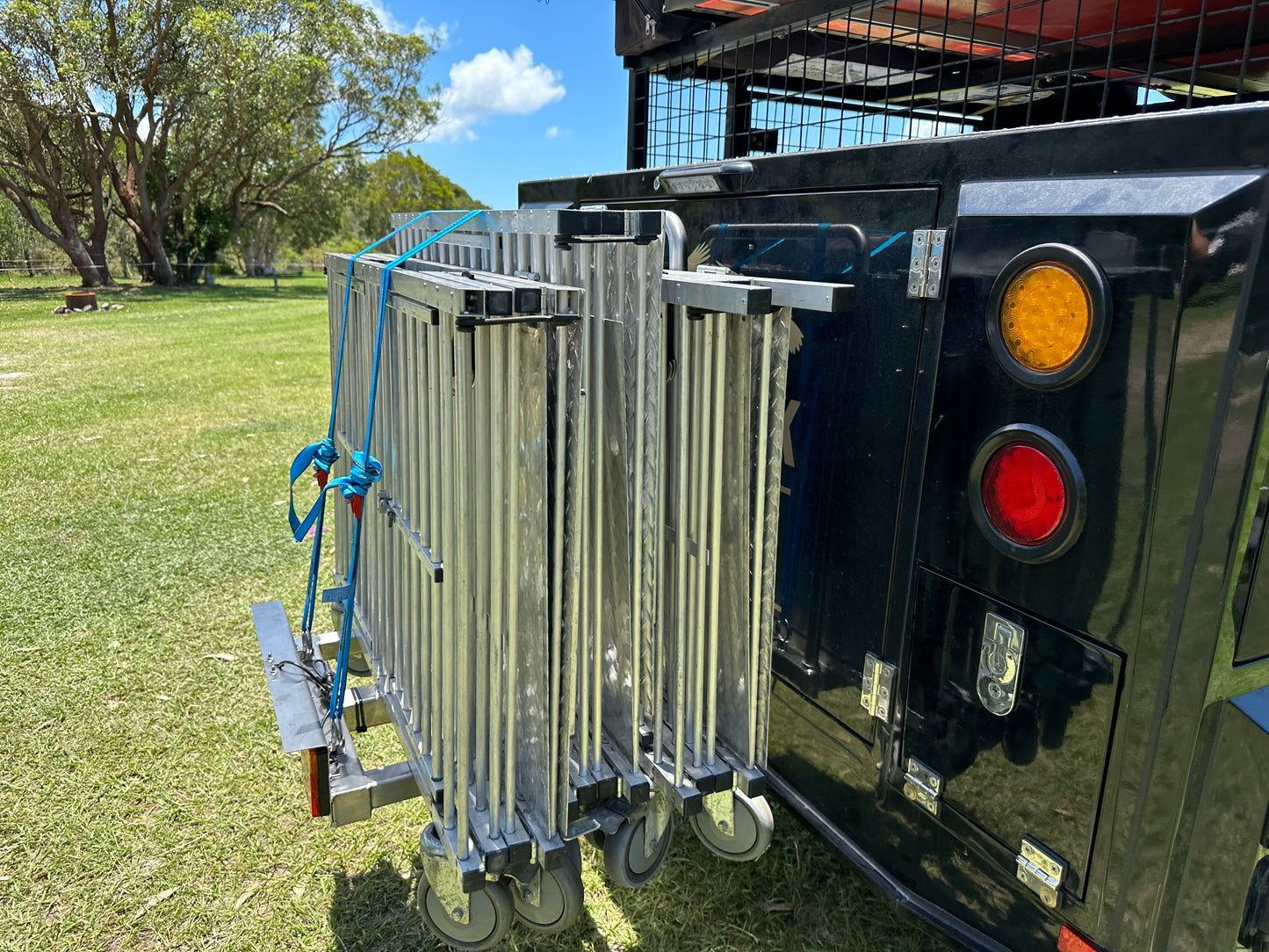 Stainless Steel Trolley Carrier