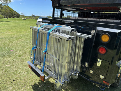 Stainless Steel Trolley Carrier